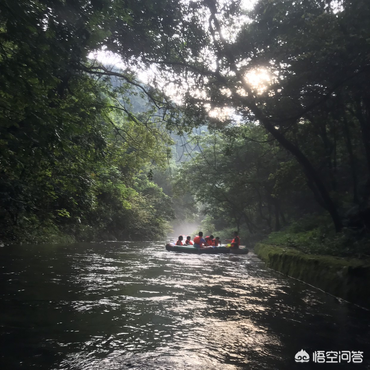 今日特码科普！澳门精准免费168网站,百科词条爱好_2024最快更新